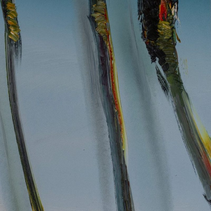 3 Griffe, 1998