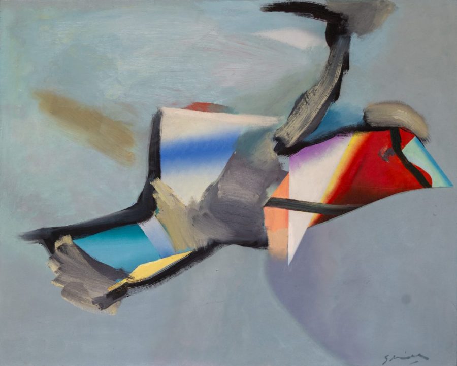 Michael Smidt - Bild-Bunter Vogel 02-2008 FS